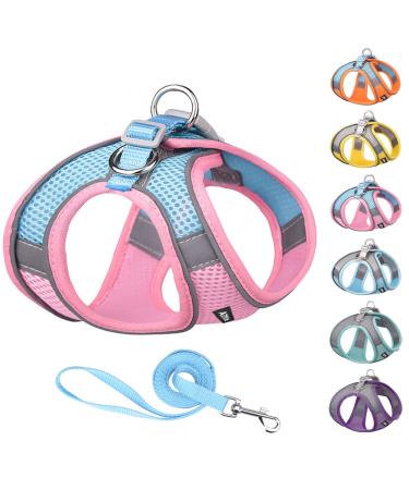 AIITLE Step in Dog Harness and Leash Set - Dog Vest Harness with Super Breathable Mesh, Reflective No-Pull Pet Harness for Outdoor Walking, Training for Small and Medium Dogs, Cats XX-Small Pink