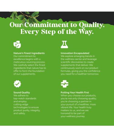 Nootropic Memory Supplement for Brain Support - Memory Pills for Brain Boost and Natural Energy Booster - Vit B12 Bacopa Monnieri Rhodiola Rosea DMAE Ginkgo Biloba Phosphatidylserine Supplement 3 pack - Buy Online on GoSupps.com