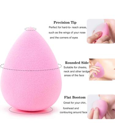 5Pcs Makeup Sponge Blender Set & 1Pcs Foundation Brush | Mocarheri Soft Sponge for Liquid Foundation | Latex Free | Wet & Dry | Pink, Green, Red, Purple, Blue - Buy Online on GoSupps.com