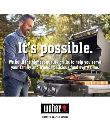 Weber 8029 12oz Grill Stainless Steel Polish - Premium BBQ Cleaner - International Shipping Available - Buy Online on GoSupps.com