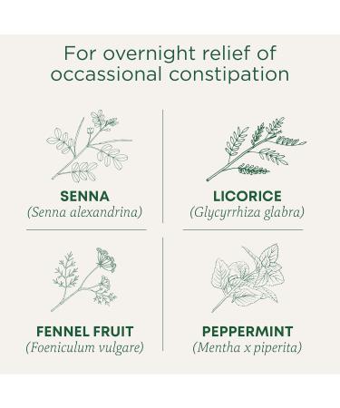 Traditional Medicinals - Organic Smooth Move Peppermint Laxative Herbal Tea (Pack of 1) - Gentle Overnight Relief of Occasional Constipation - 16 Tea Bags Total Smooth Move Peppermint Tea Peppermint 16 Count (Pack of 1) - Buy Online on GoSupps.com