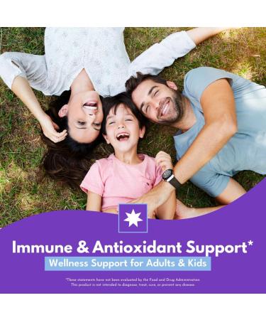 Bold Botanica Elderberry Elixir 65X Concentrated Extract Sugar-Free & Kid Friendly Immune Support Elderberry Syrup for Kids & Adults with Aronia Berry & Monk Fruit 4 fl oz - Buy Online on GoSupps.com