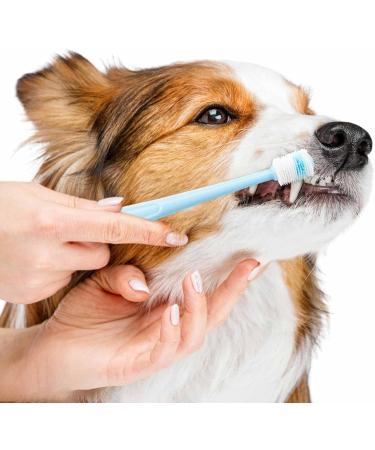2 Pcs Dog Cat Toothbrush 360 Degree Soft Silicone Pet Toothbrush Small Puppy Kitten Toothbrushes Tiny Soft Dog Toothbrush Cat Dental Care Deep Clean Pet Teeth Cleaning Kit for Dogs Cleaning Mouth - Buy Online on GoSupps.com