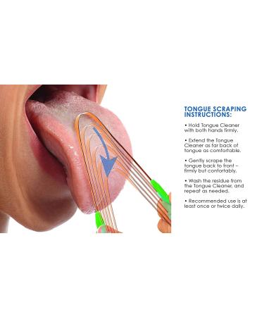 Stainless Steel Tongue Scraper Set for Adults - Bad Breath Remover & Oral Care - 4 Pack - Buy Online on GoSupps.com