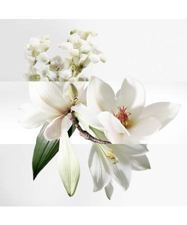 Un Jardin Sur La Lagune by Hermes for Women 3.3 oz Eau de Toilette Spray 3.3 Fl Oz (Pack of 1) - Buy Online on GoSupps.com