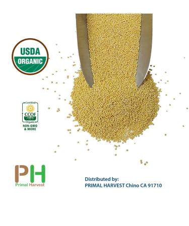 Organic Millet Whole Grain Seeds - USA Grown, Non-GMO, Gluten-Free - 1lb Pack - Buy Online on GoSupps.com