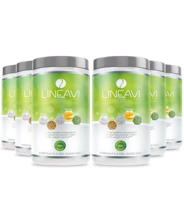 Lineavi activated food diet shake neutral 6x500g weight loss shake with pleasant taste meal replacement made of soy pea rice and whey protein lactose and gluten-free yoghurt / neutral 500 g (6 Pack)
