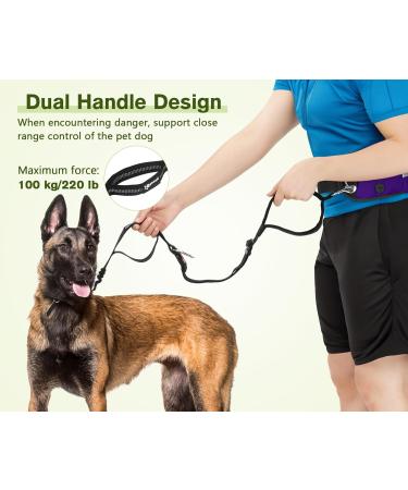 Shop Pecute Jogging Line for Dogs - Belly Belt & Elastic Leash for Large/Medium Dogs Up to 100kg - Ideal for Running & Jogging - Buy Online on GoSupps.com
