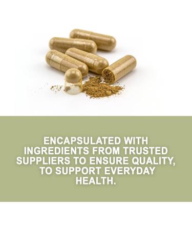 Evergreen Herbs Supplement Herbal Capsules 90 Count (Senna Leaf) - Tamper Proof Seal to Ensure Freshness. - Buy Online on GoSupps.com