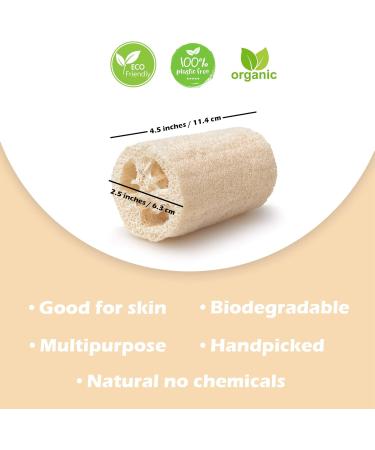 Natural Loofah Sponge - Large Eco-Friendly Exfoliating Scrubbers for Body Back & Face - 6 Reusable Spa Gifts - Buy Online on GoSupps.com