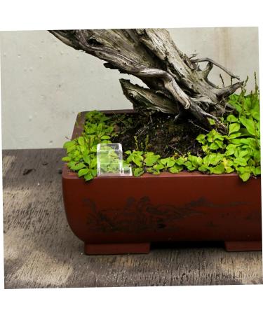 CIYODO Pet Water Feeder Ants Habitat Water Feeding Water Feeding Cup for Ants Nest Ants Water Bowl Plastic - Buy Online on GoSupps.com