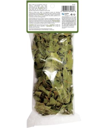 Living World Green Botanicals Dried Leaf Treat - Guava Leaves - 10 g (0.35 oz) - Buy Online on GoSupps.com