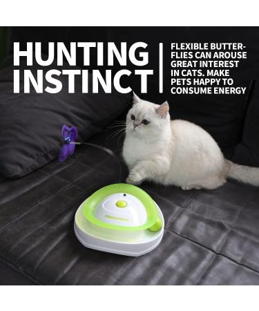 All for Paws 2 in 1 Interactive Cat Toy - Fluttering Butterfly & Rolling Balls - Automatic Indoor Kitten Spinner Toy - Buy Online on GoSupps.com