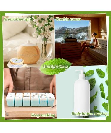 3.5oz Menthol Crystal Bulk - Food Grade Menthol Crystals Organic Mentol Cristal for Shower Steamer Aromatherapy Vapo Tablet Making Colds Restore Congestion Relief Peppermint Essential Oil Making - Buy Online on GoSupps.com