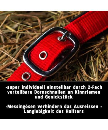 Adjustable Horse Halter for Warmbloods Thoroughbreds & Ponies | Safe Tear-Resistant Design | Perfect for Pasture & Stable Use (Red) - Buy Online on GoSupps.com