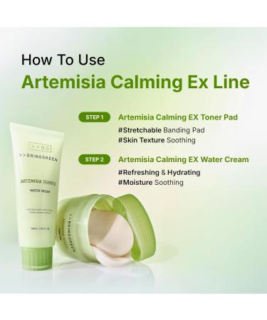 BRING GREEN Artemisia Calming EX Water Cream 100mL - Buy Online on GoSupps.com