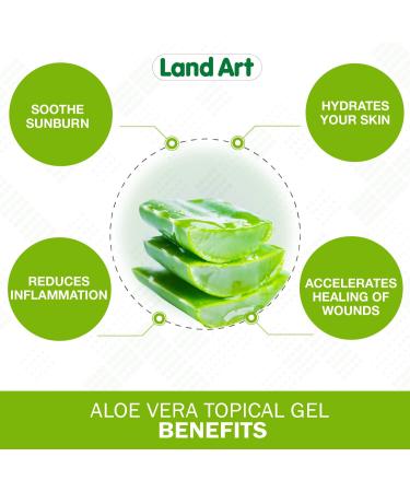Aloe Vera Topical Gel Sunburn Relief - Soothing Moisturizer After Sun - for Face Body Hair - Made from 100% Pure Organic Cold Pressed Aloe Vera Gel For Face - with Vitamin C - Made in Canada (240 g (Pack of 1)) - Buy Online on GoSupps.com