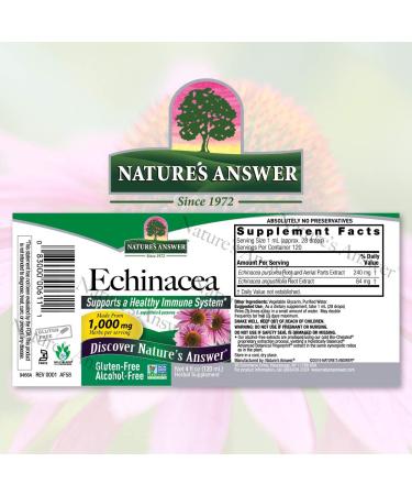 Echinacea Root Extract 1000 mg - Alcohol-Free, 4 fl oz | Nature's Answer - Buy Online on GoSupps.com