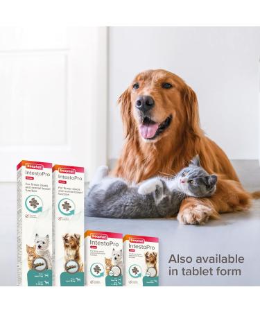Beaphar Intestopro Intestinal Regulator Paste 20 ml Puppies/Dogs and Cats/Small Cats - Buy Online on GoSupps.com
