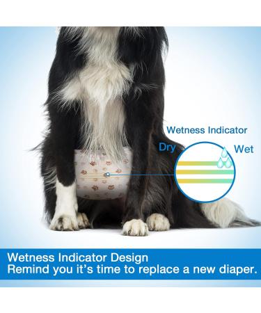 Pet Soft Disposable Dog Diapers for Male Dogs - 20 Pack Highly Absorbent & Leak-Proof with Wetness Indicator - Buy Online on GoSupps.com