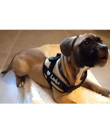 Custom Labels for Julius K9 - Pair of Interchangeable Size Patches - Black - Easy to Use with Julius K9 Harnesses - Reflective - Logo Illustration - Product Information - Powerharnesses Compatible - Buy Online on GoSupps.com