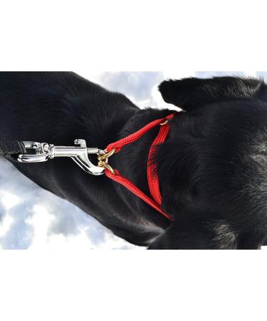 K9 Bridle - to stop your dog pulling (Medium Black) Medium Black - Buy Online on GoSupps.com