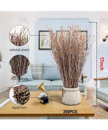 100% Natural Birch Branches for DIY Crafts and Home Decor - 200pcs (17inch) - Buy Online on GoSupps.com