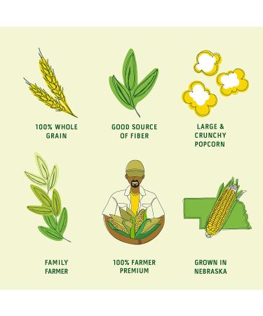 Connect Snacks Non-GMO Large Popcorn Kernels - 24 oz Bag | Gourmet Butterfly Yellow Popcorn | Gluten-Free & Sustainable | 100 Cups Popped - Buy Online on GoSupps.com