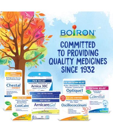 Buy Boiron Ferrum Phosphoricum 30C - 80 Pellets | Homeopathic Fever Relief | International Shipping Available - Buy Online on GoSupps.com