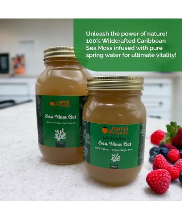 100% Wildcrafted Sea Moss Gel - Pure Unflavoured Sea Moss Gel | Made with Wildcrafted Sea Moss | Irish Moss (16oz Jar) 1 count (Pack of 1) - Buy Online on GoSupps.com