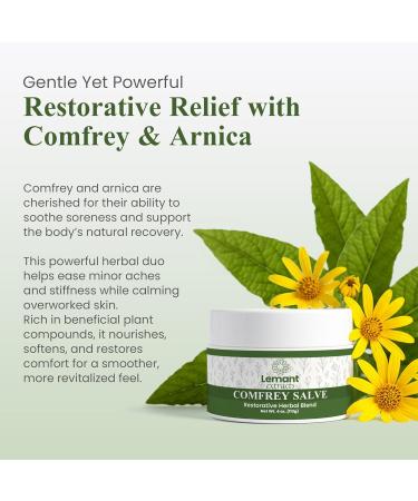 Organic Comfrey Salve for Bone Healing (4 oz) | Natural Herbal Comfrey Cream for Soothing Comfort and Recovery - Infused with Concentrated Comfrey Oil - Buy Online on GoSupps.com