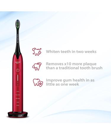 Wagner & Stern Ultrasonic Whitening Toothbrush with Pressure Sensor - 5 Modes, 4 Intensity Levels, 3D Sliding Control, 8 Dupont Bristles, Premium Travel Case - Burgundy - Buy Online on GoSupps.com
