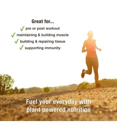 BodyMe Organic Vegan Protein Powder Blend with Maca and Cinnamon - Superfood Boosted, Unflavoured, Dairy and Soy Free - 1kg (30 Servings) - Buy Online on GoSupps.com