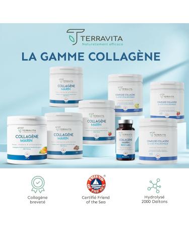MARINE COLLAGEN PATENTED POWDER | 257g Pure Collagen Peptides Type 1 | Soft Joints Smooth and Hydrated Skin | Orange Taste | 100% French Spine | Terravita - Buy Online on GoSupps.com