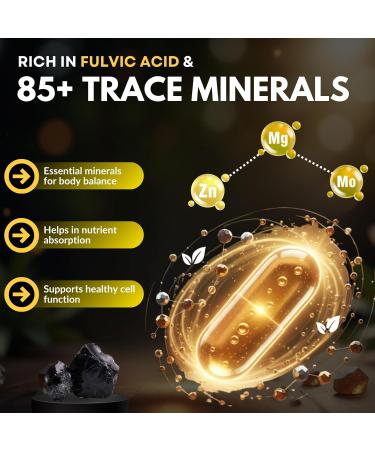 HOLIVANCE Himalayan Shilajit Capsules 500mg | 10:1 Purified Extract with Fulvic Acid & Trace Minerals | Vegan Non-GMO Gluten-Free | Herbal Dietary Supplement 60 Veg Capsules - Buy Online on GoSupps.com