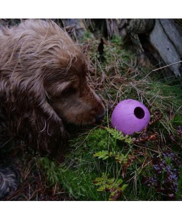 Beco Pets Eco-Friendly Natural Rubber Dog Ball Chew Toy - Small, Blue - Buy Online on GoSupps.com