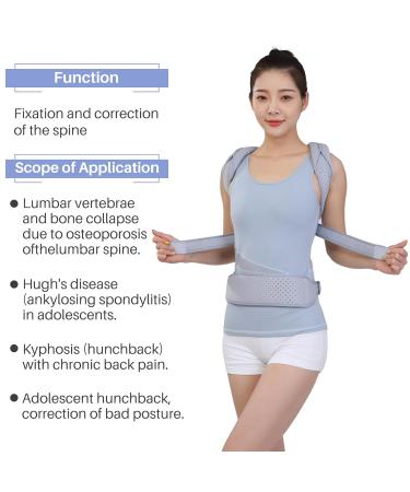 Back Corrector for Spinal Support | Fix Kyphosis & Osteoporosis | Large Size for Effective Correction - Buy Online on GoSupps.com