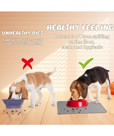 Shop Silicone Bowl Base Set (48x30cm) - Slipproof Dog & Cat Feeding Mat - Waterproof & Fully Matte - Ideal for Pet Food & Water Bowls - Buy Online on GoSupps.com