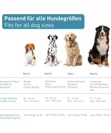 Buy Pettec Neoprene & Nylon Dog Collar with Handle - Softly Padded Adjustable Robust & Water-Repellent for Small & Large Dogs (S-XL) - Set with Tow Leash (34-44 cm) - Black - Buy Online on GoSupps.com