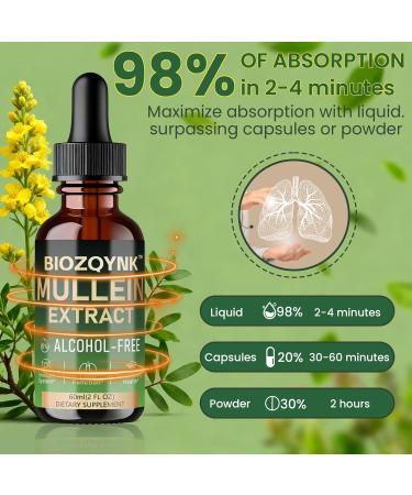 BIOZQYNK Mullein Drops Lung Cleanse - Leaf Extract - Powerful Mullein for Immune Support Detox & Respiratory Support- Lung Cleanse for Smokers Vegan Alcohol-Free (2 fl oz) - Buy Online on GoSupps.com