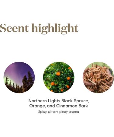 Young Living Christmas Spirit Essential Oil Blend - Festive 5 ml Warm & Spicy Scent - Buy Online on GoSupps.com
