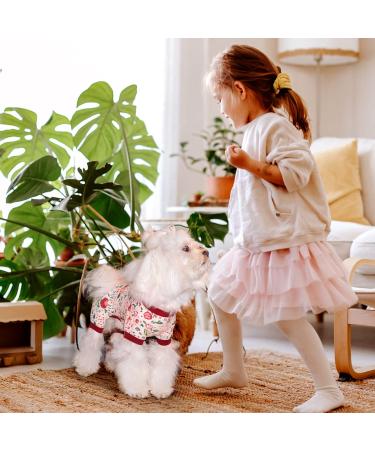 Tony Hoby Dog Libra Suit - Light Cotton 4-Leg Hedge Suit for Small to Medium Dogs | Floral & Rabbit Design (Pink Large) - Buy Online on GoSupps.com