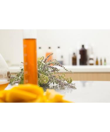 Green + Lovely Calendula Skin Stick Organic Lotion Sticks Moisturizing Balm Ointment Salve Multipurpose Hand Cream Body Bar 0.5 oz. Lavender Bud (2 Tube Set) Lavender Bud 0.25 Ounce (Pack of 2) - Buy Online on GoSupps.com