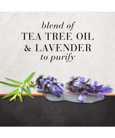 Tea Tree & Lavender Water Hair Conditioner - 10.1 fl oz (300ml) | Nourishing Hair Food - Buy Online on GoSupps.com