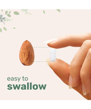 Micro Ingredients Calcium 1 200mg with Vitamin D3 & K2 300 Tablets | Calcium Supplements for Women & Men | Mineral Complex Support Bone Teeth Colon & Cardiovascular Health | Non-GMO Gluten-Free - Buy Online on GoSupps.com