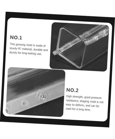 Toddmomy 2pcs Vegetable Shaping Fruit Garden Cucumber Vegetable Accessories Modeling - Buy Online on GoSupps.com