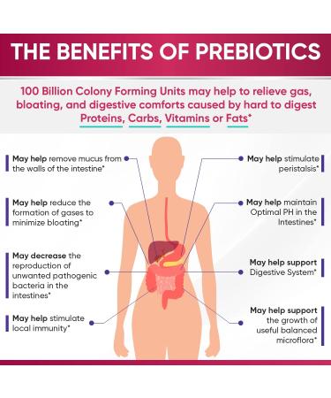 Wholesome Raw Probiotics for Women - 100 Billion CFUs  60 Capsules - Buy Online on GoSupps.com