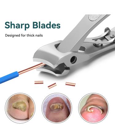 Premium Stainless Steel Ingrown & Thick Nail Clipper with Slant Curved Blade - Heavy Duty Toe Nail Clippers for Men Women - Silver - Buy Online on GoSupps.com