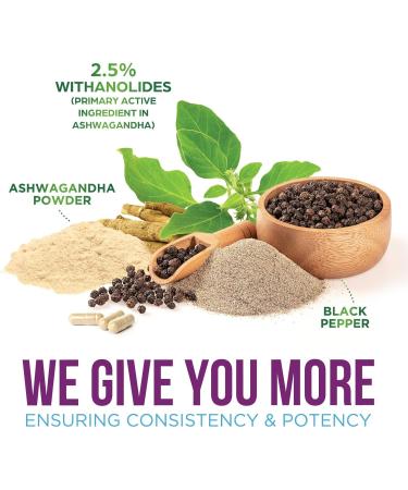 Ashwagandha Supplements 2100mg - 3X Strength Ashwagandha Powder & Root Extract with Black Pepper for Max Absorption Antioxidant Supplements for Women & Men Vegan Bottled in USA - 120 Capsules 120 Count (Pack of 1) - Buy Online on GoSupps.com