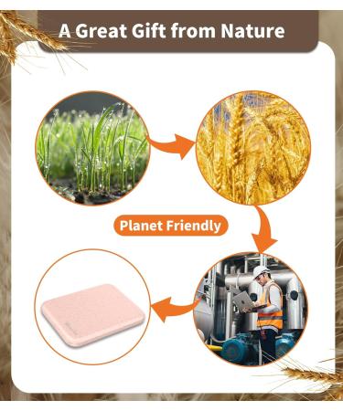 Rechargeable Wheat Straw Compact Mirror with Light - Natural Organic Fiber, 1x/3x Magnifying, Portable Travel Makeup Mirror - Pink - Buy Online on GoSupps.com